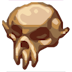 Rare Skull